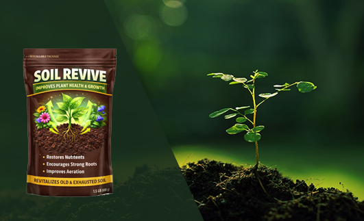 Soil Revive Product